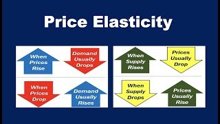 What is Price Elasticity [upl. by Stacee423]