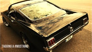 1965 Ford Mustang GT 289  Tagging a Classic Fastback [upl. by Marva]