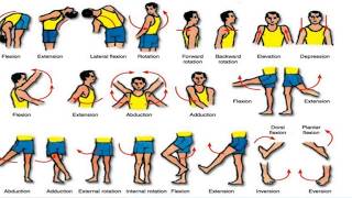 osteokinematics amp JOINT MOVEMENTS [upl. by Dhaf]