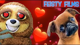 Feisty Pets In Love Compilation [upl. by Ciel927]