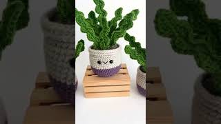 Crochet Cactus  Amigurumi Fishbone Plant [upl. by Yot]