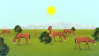 Evolution explained in an animation about the horse [upl. by Ahteral422]