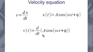 SHM Velocity and Acceleration Equations [upl. by Inek]