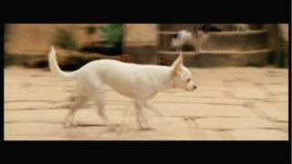 Beverly Hills Chihuahua  Temple of the Dog Clip [upl. by Onaimad]