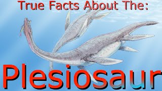 True facts About The Plesiosaur [upl. by Eiuol523]