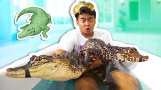 ALLIGATOR BATH CHALLENGE [upl. by Tadd]