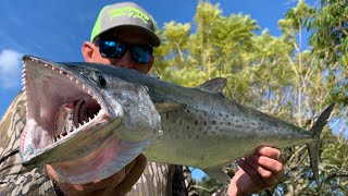 SPANISH MACKEREL  SMOKED FISH DIP  Catch Clean amp Cook [upl. by Durman]