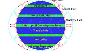 Trade Winds easily explained [upl. by Gisella]