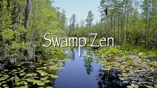 Experience Swamp Zen at the Okefenokee Swamp Park in Waycross Georgia [upl. by Nora]