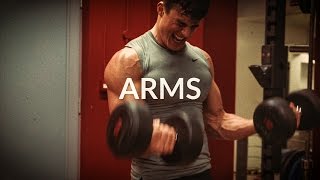 Workout Theory Arms  Pietro Boselli [upl. by Arondell989]