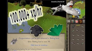 OSRS How to 3 Tick Barbarian Fish  THE EASIEST WAY [upl. by Afaw]