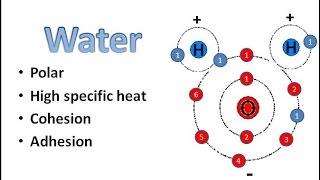 Water Chemistry [upl. by Jorry506]