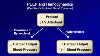 Physiologic Consequences Mechanical Ventilation  Lecture 10 [upl. by Ardnad]