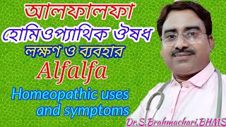 Alfalfa benefits  alfalfa Q  alfalfa homeopathic medicine uses in bengali language [upl. by Analem403]