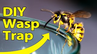 Wasp Trap [upl. by Hungarian145]