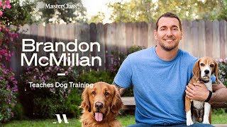 Brandon McMillan Teaches Dog Training  Official Trailer  MasterClass [upl. by Cadel275]