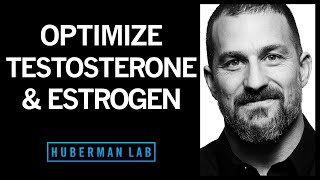 Sustanon 250  King of Testosterone Doctors Analysis [upl. by Dorkas]