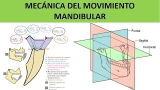 MECÁNICA DEL MOVIMIENTO MANDIBULAR [upl. by Nawor24]