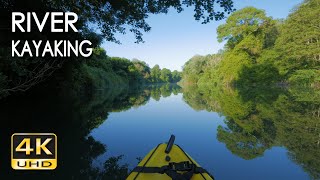 4K River Kayaking  Birds Singing  Water Sounds  Paddling a Canoe Relaxing Nature Video  NO LOOP [upl. by Kiah]