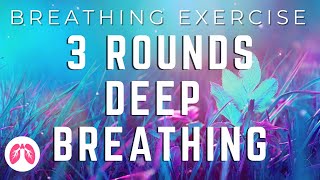 Heart Coherence Breathing Exercise  HRV Resonant Cardiac Breathwork  TAKE A DEEP BREATH [upl. by Dorrie411]