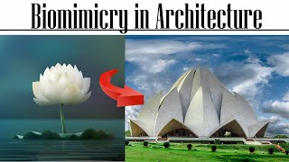 Biomimicry in Architecture [upl. by Nyleak]