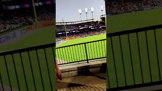 Buy Comerica Park [upl. by Limhaj759]