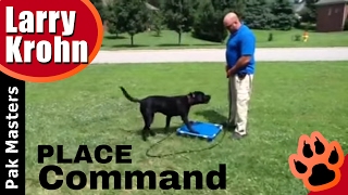 Teaching The Place or Send Away Command  Pak Masters Dog Training  Nashville Bowling Green [upl. by Yeca]