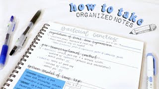 how to take organized notes amp study effectively  christylynn [upl. by Randi]