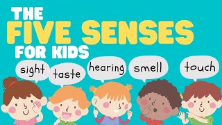 Five Senses for Kids  Learn all about the 5 Senses for kids  Sight Sound Smell Taste and Touch [upl. by Eirahs337]