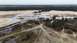 Loonse en Drunense Duinen [upl. by Mungovan]