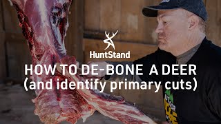 How To DeBone A Deer And Identify Primary Cuts [upl. by Bonis]