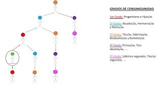 Civil  Familia  Grados de consanguinidad [upl. by Moir]