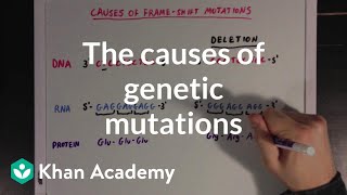 The causes of genetic mutations  Biomolecules  MCAT  Khan Academy [upl. by Kilah]