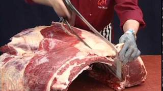 Beef Forequarter Fore rib Chuck and Blade Primal Removal [upl. by Annelg150]