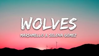 Selena Gomez Marshmello  Wolves Lyrics [upl. by Cockburn750]