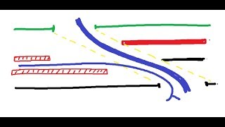 Inguinal canal 2 boundaries and contents DR SAMEH GHAZY [upl. by Ekusuy395]