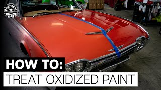 How To Restore Faded amp Discolored Paint  Chemical Guys [upl. by Idnic]