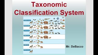 Taxonomic Classification [upl. by Moina]