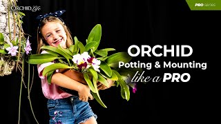 Orchid Potting and Mounting like a Pro [upl. by Sperry841]