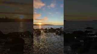 Kitsilano Beach at Vancouver Maritime Museum [upl. by Yhtrod656]