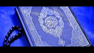 Al Quran full 30 juz 114 sura [upl. by Steffane504]