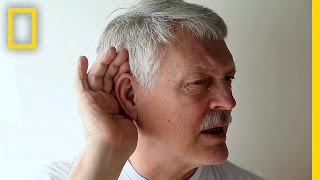 Take the HighFrequency Hearing Test  Brain Games [upl. by Lytle710]