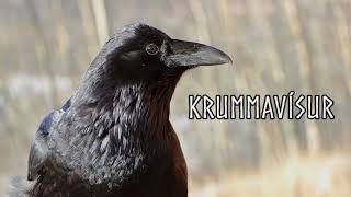 Krummavísur  Icelandic Folk song from 1861 [upl. by Aldis]