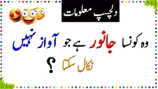 Paheliyan In Urdu With Answer  Amazing Facts About Animals  General Knowledge Questions And Answer [upl. by Longtin]