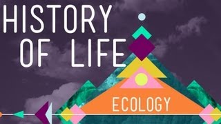 The History of Life on Earth  Crash Course Ecology 1 [upl. by Ydualc]