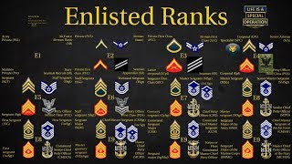 US Military All Branches ENLISTED Ranks Explained [upl. by Rutra]