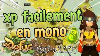 DOFUS  COMMENT XP RAPIDEMENT EN MONOCOMPTE DIVERS ZONES SIMPLE amp EFFICACE [upl. by Lubet]