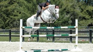 Horse Jumps ProTips  RideACourse with Todd Minikus [upl. by Loralee]