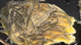 New Zealand Whitebait Catching and cooking whitebait [upl. by Valina372]