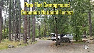 360 Video Tour of Pine Flat Campground in Oak Creek Canyon Coconino National Forest  Sedona Arizona [upl. by Feilak283]